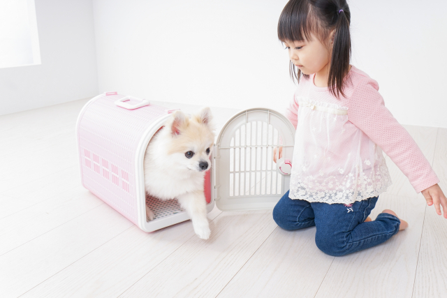 子供と一緒に育てたい！幼児のいる家庭におすすめのペット3選